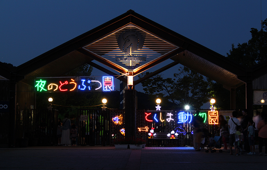 夜の動物園 夜の動物園