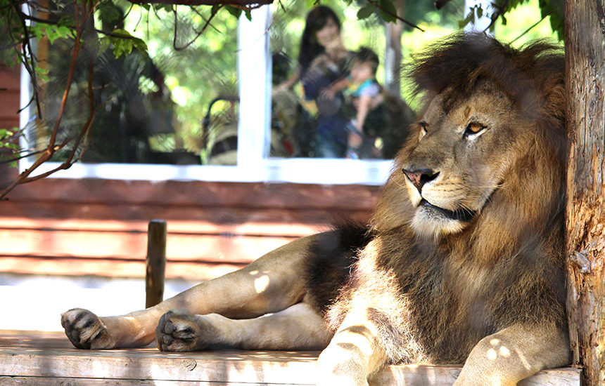 とくしま動物園