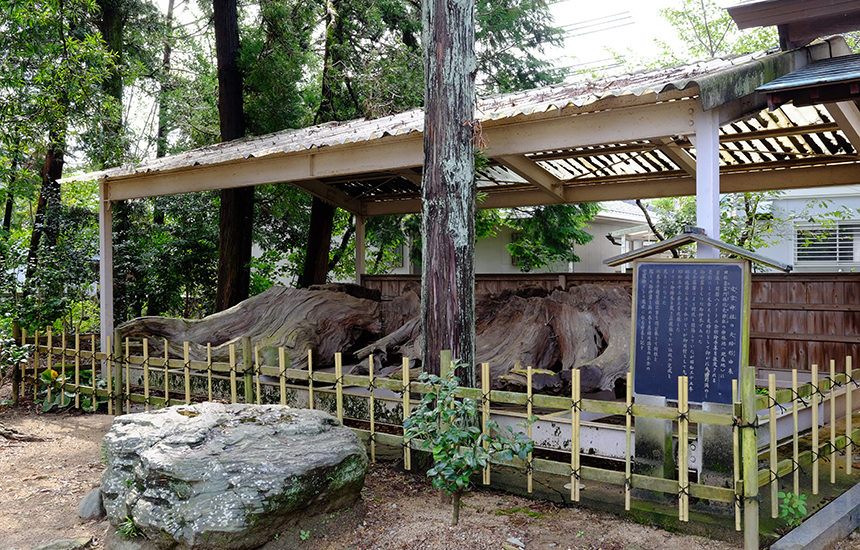 宅宮（えのみや）神社の神踊り | Fun!Fun!とくしま