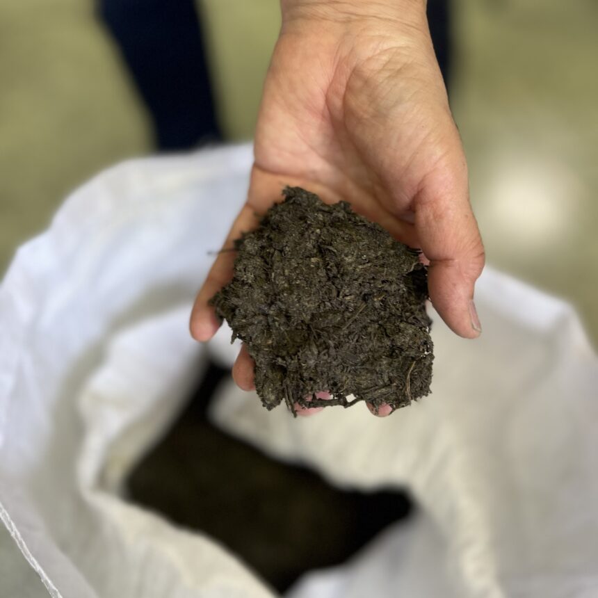 株式会社 金剛 藍プロジェクト | Fun!Fun!とくしま